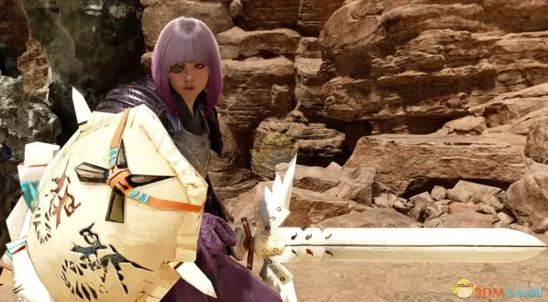 《怪物猎人：荒野》碎裂封镜之剑图鉴-休闲猪